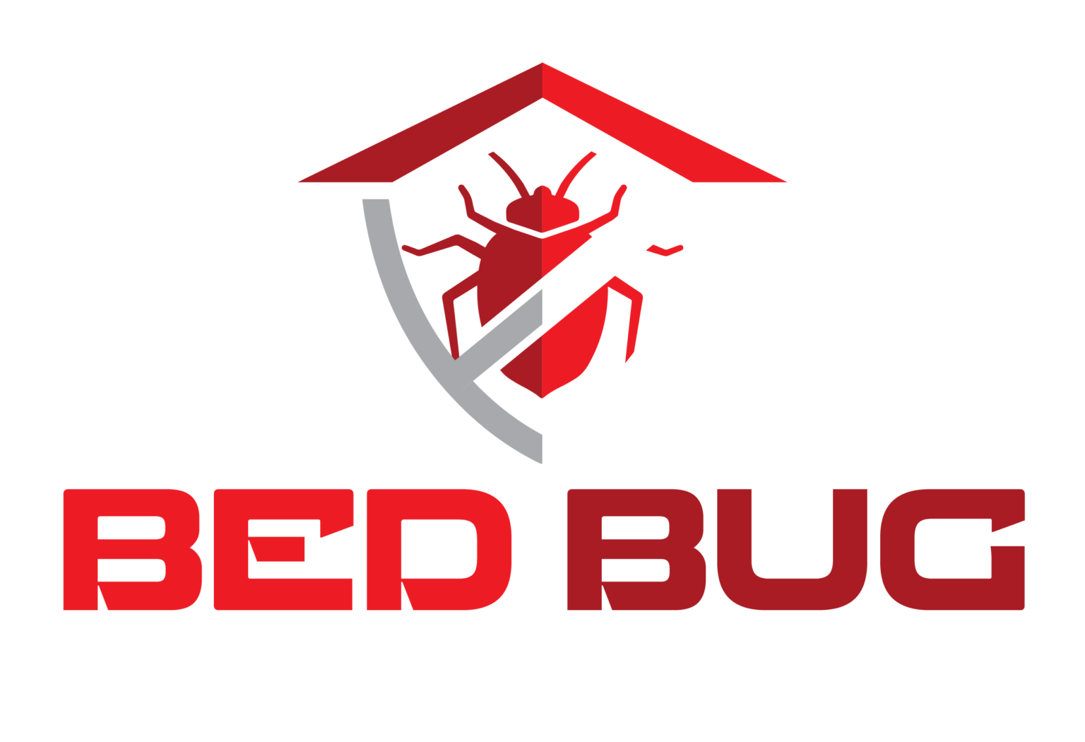 home-bed-bug-relief-foundation